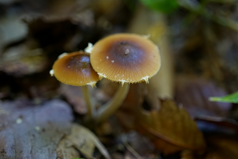 itatitake096.jpg