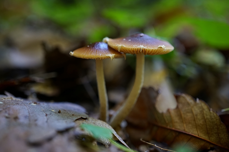 itatitake098.jpg