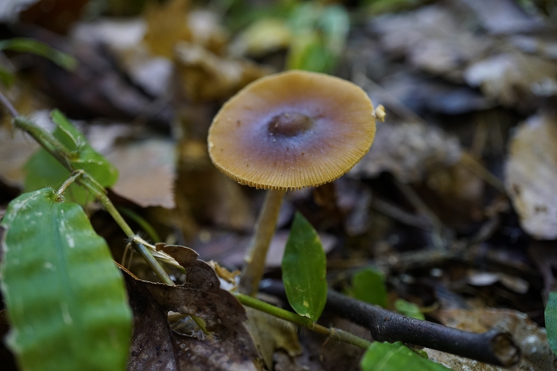 itatitake099.jpg