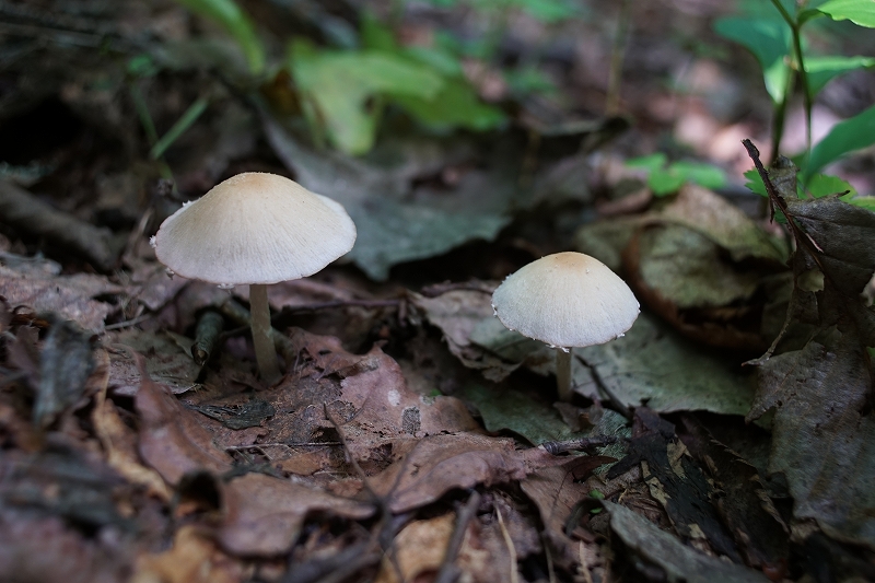 itatitake187.jpg